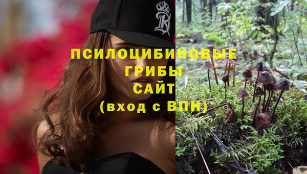 ешки Надым