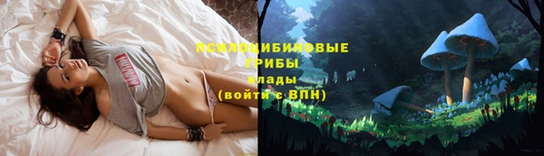 СК Наволоки