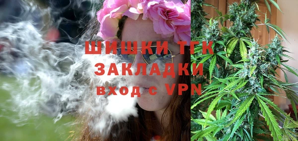 ешки Надым