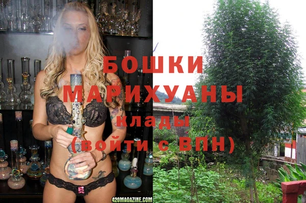ешки Надым