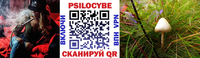 Купить где  Рыльск  Псилоцибиновые грибы MAGIC MUSHROOMS 