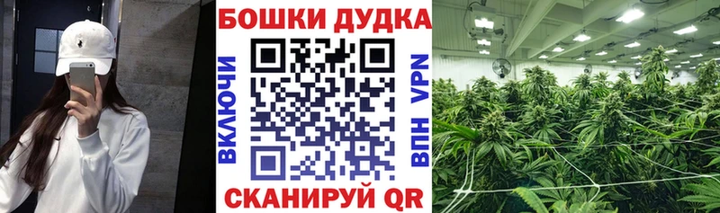 Конопля VHQ  Купить закладки  Рыльск 